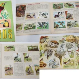 Άλμπουμ Birds Μικρή Εγκυκλοπαίδεια Panini Συμπληρωμένο Τιμή 60 Ευρώ