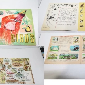 Άλμπουμ Birds Πανίνι 1982 Συμπληρωμένο